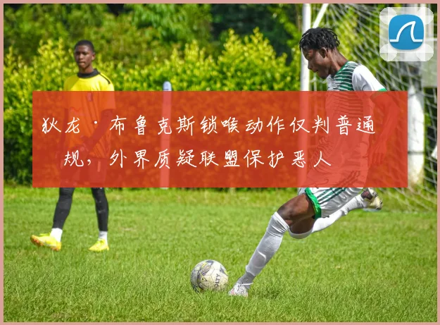 狄龙·布鲁克斯锁喉动作仅判普通犯规，外界质疑联盟保护恶人