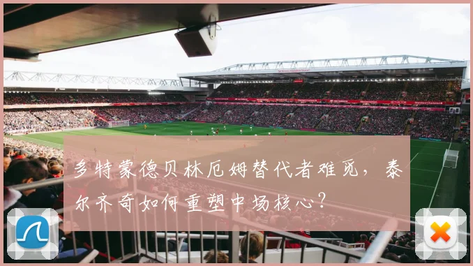 多特蒙德贝林厄姆替代者难觅，泰尔齐奇如何重塑中场核心？